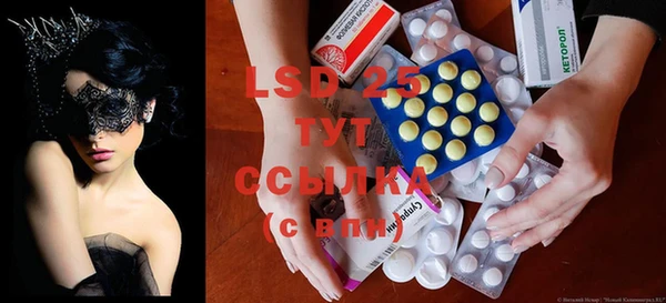 молекула духа Снежногорск
