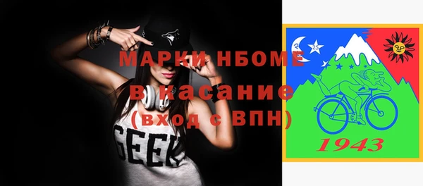 молекула духа Снежногорск