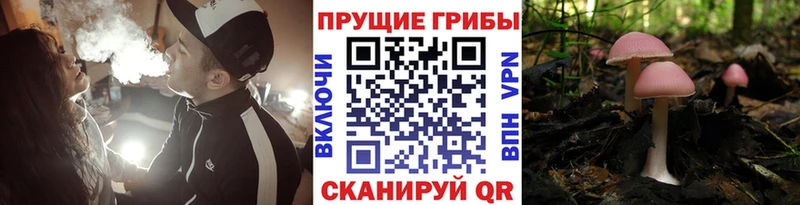 Галлюциногенные грибы Magic Shrooms Шлиссельбург