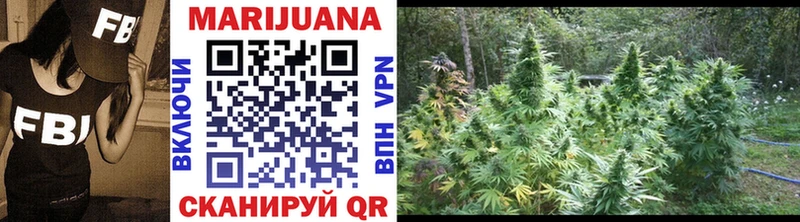 продажа наркотиков  Шлиссельбург  Каннабис SATIVA & INDICA 